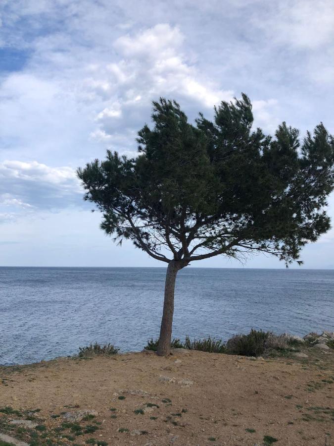 Casa Vacanze Da Maurizio Santa Flavia Dış mekan fotoğraf